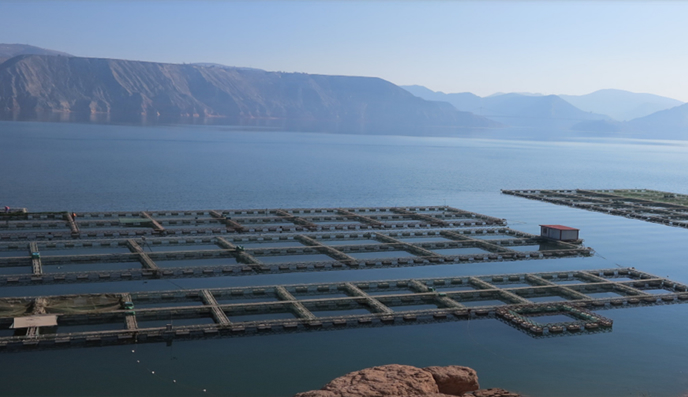 Liujiaxia Fishery @Linxia Hui Autonomous Prefecture