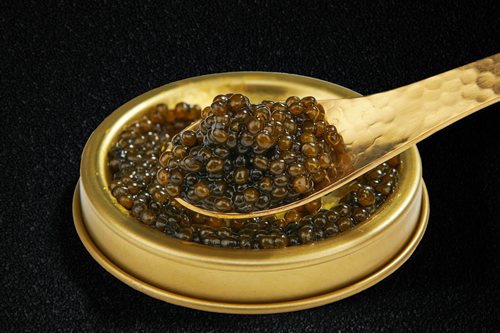 Caviar